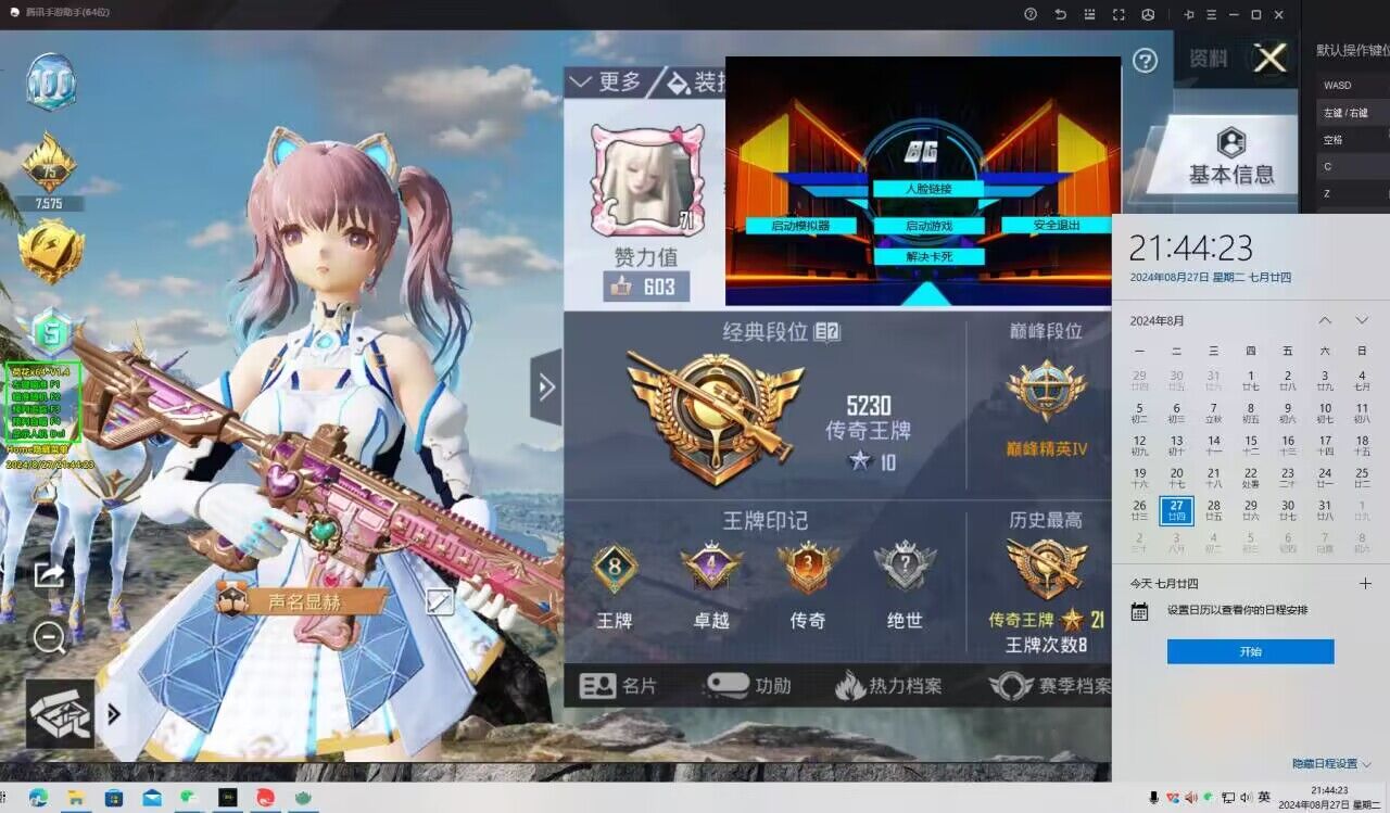 和平精英辅助得类型分为那些